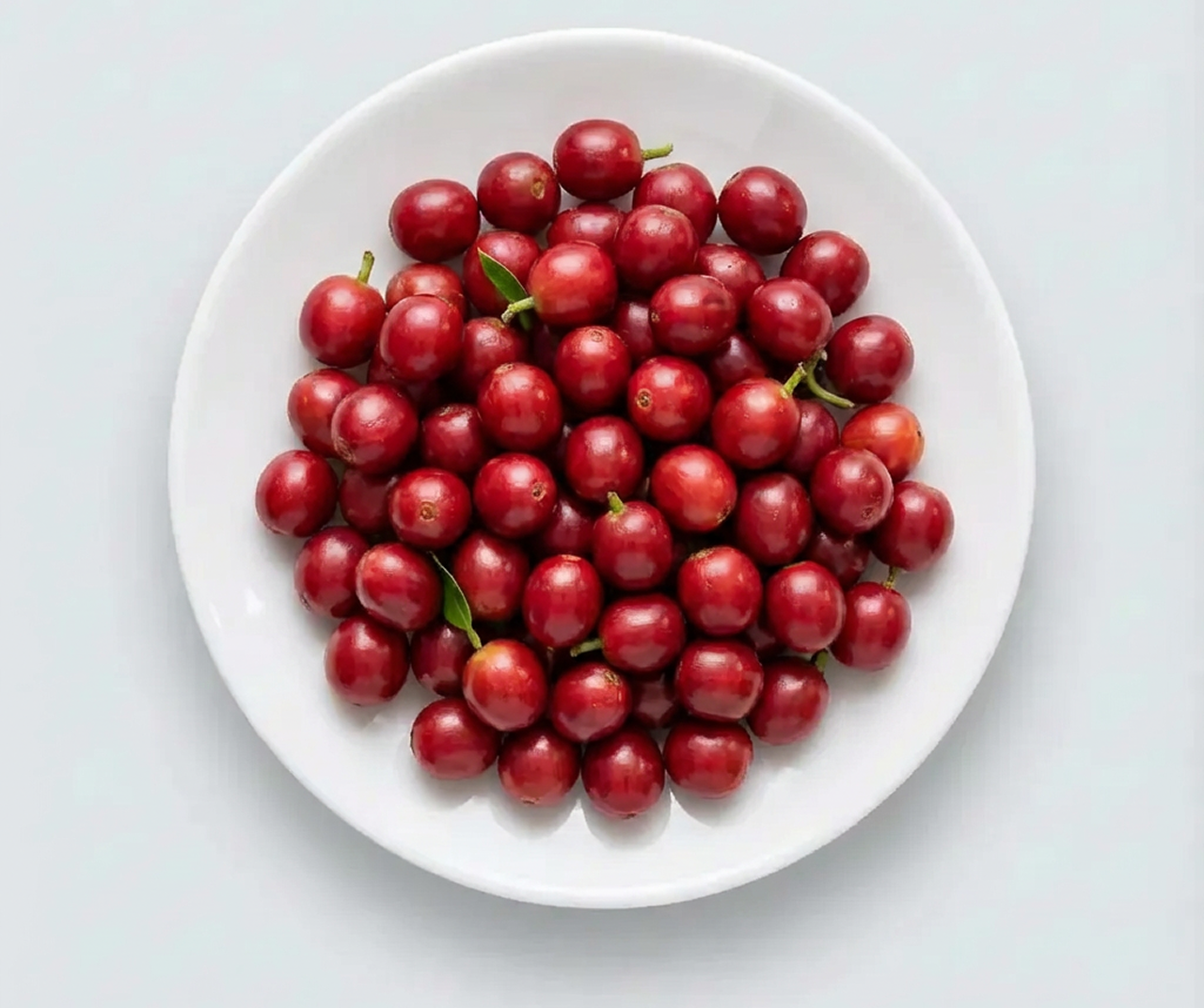 Coffee Fruit Extract